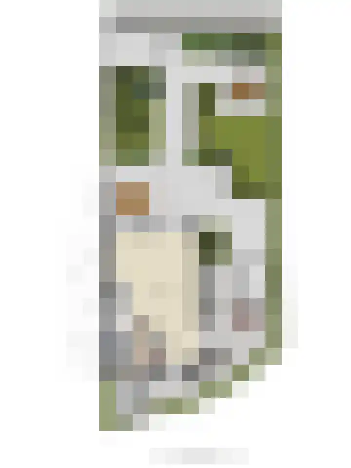 Besselhoeve 2 Helmond thumbnail 37