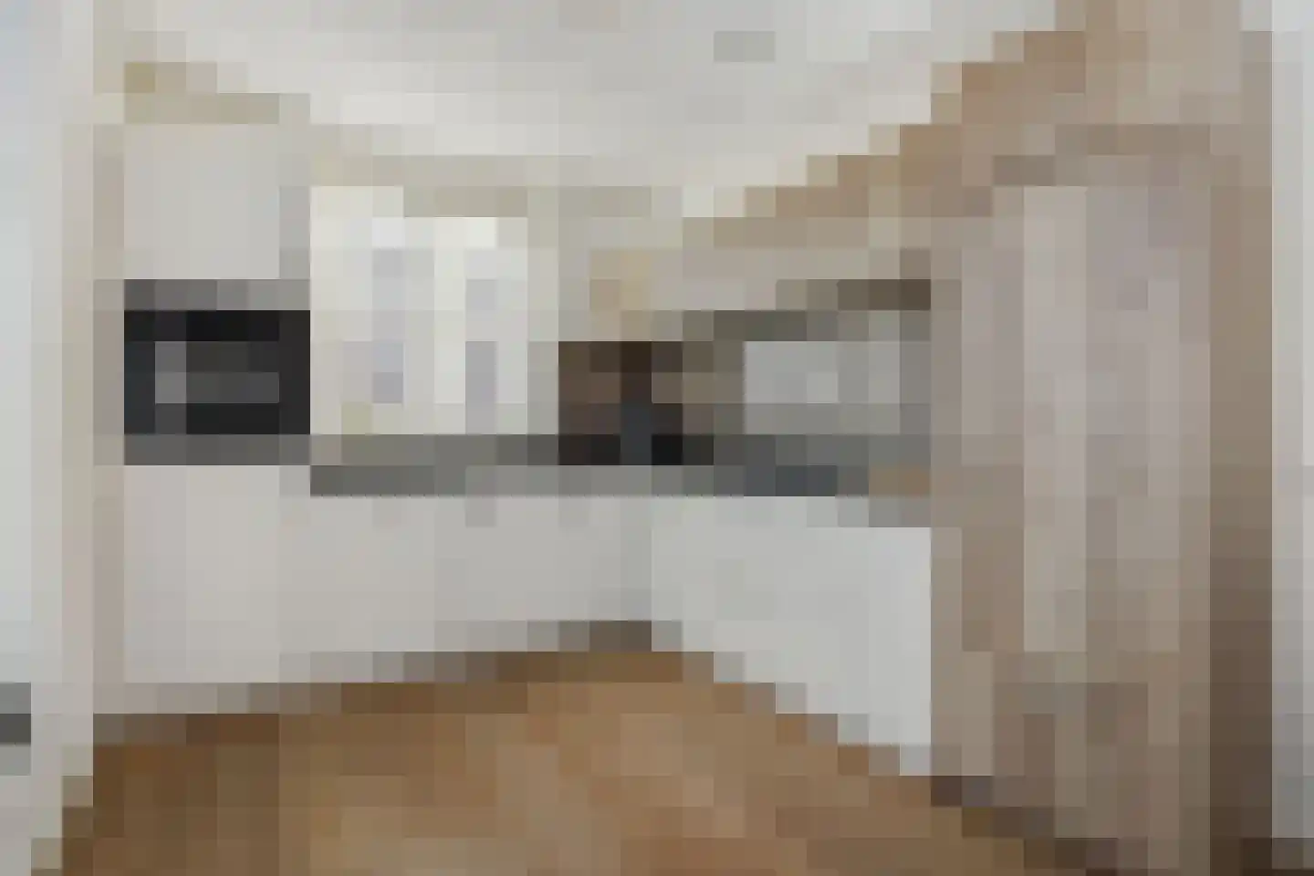 Besselhoeve 2 Helmond thumbnail 4