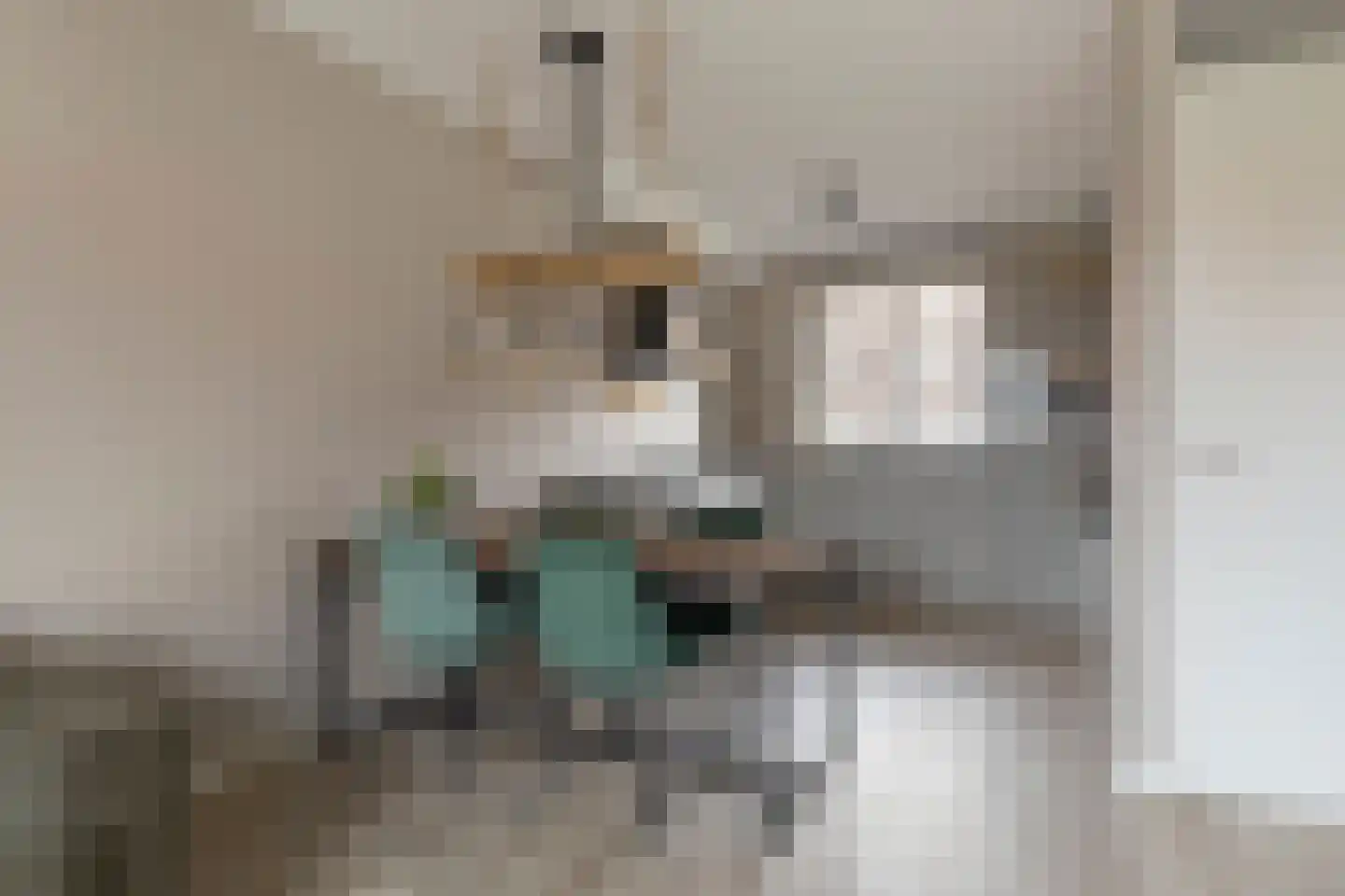 Besselhoeve 4 A Helmond thumbnail 13