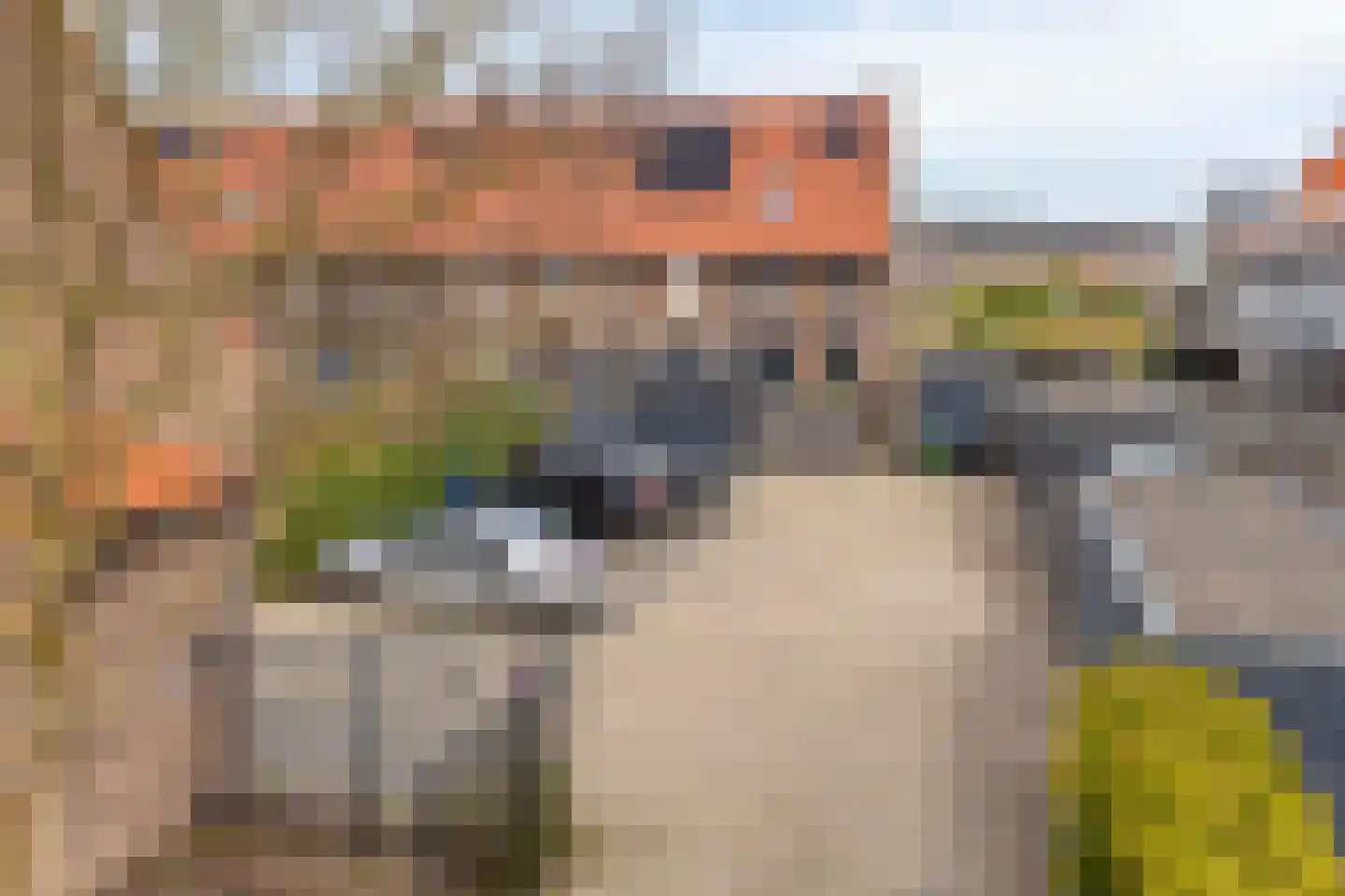 Besselhoeve 4 A Helmond thumbnail 36