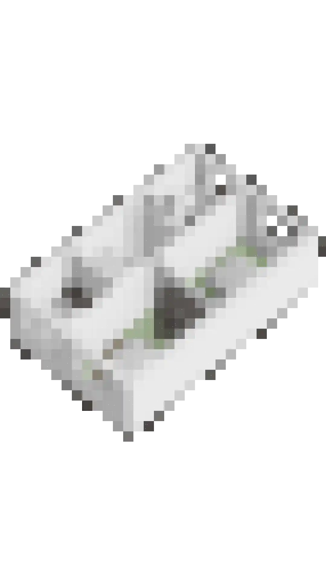 Besselhoeve 4 A Helmond thumbnail 48