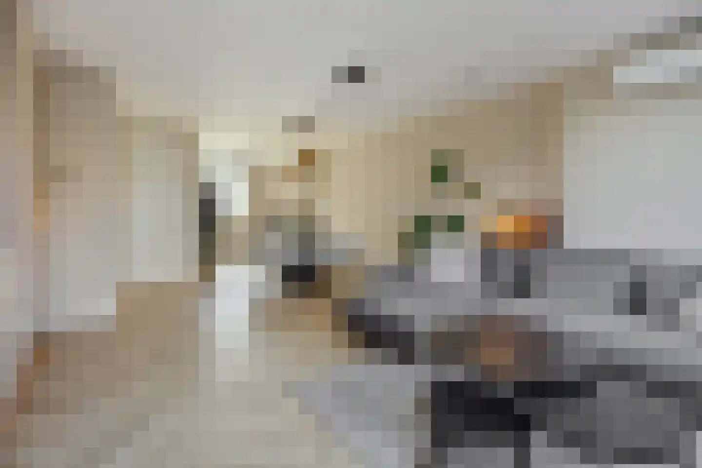 Besselhoeve 4 B Helmond thumbnail 11