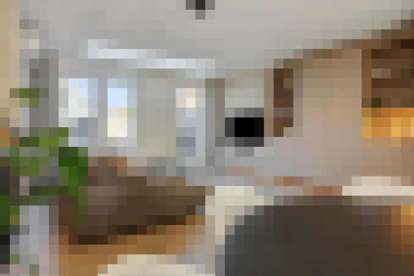 Besselhoeve 4 B Helmond thumbnail 12
