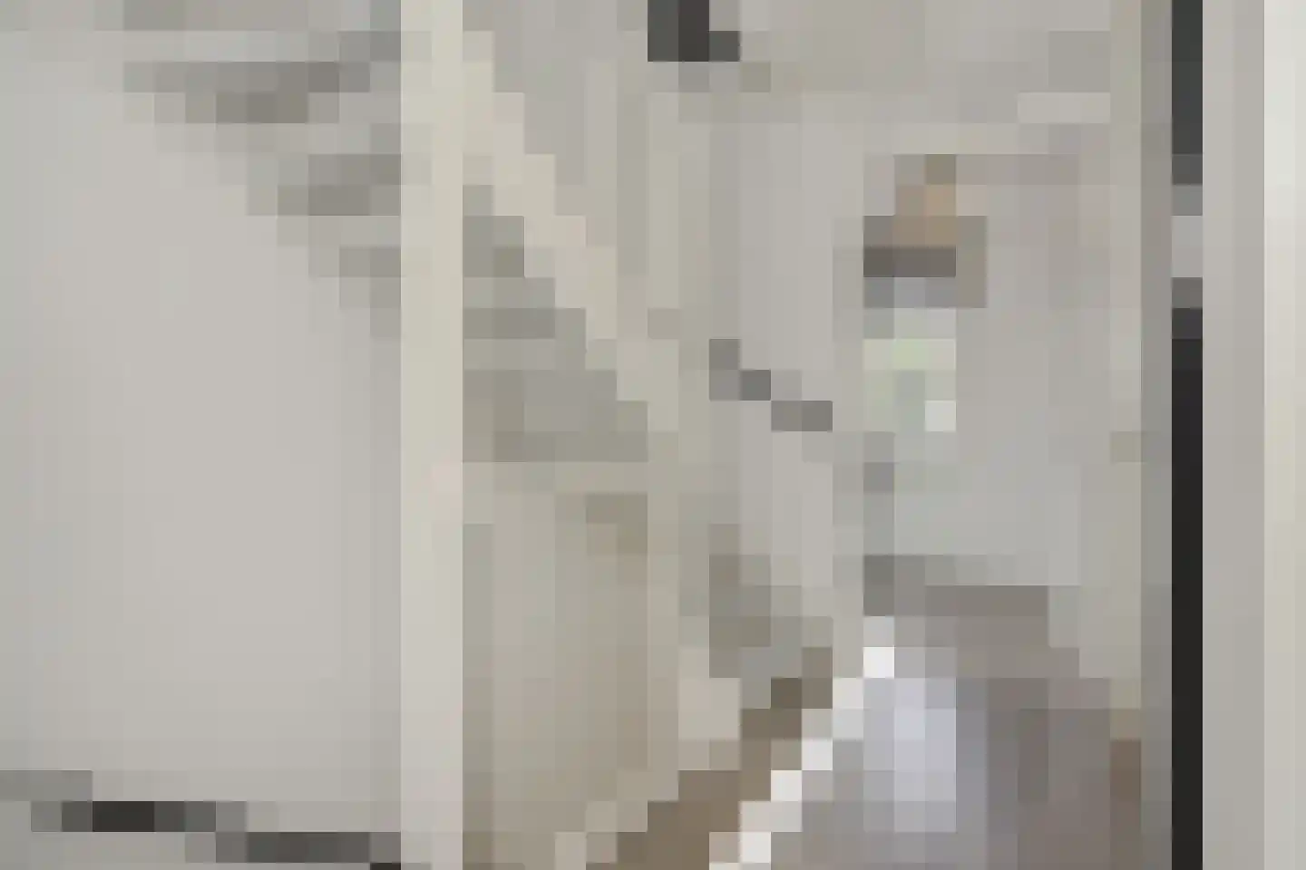 Besselhoeve 4 B Helmond thumbnail 21
