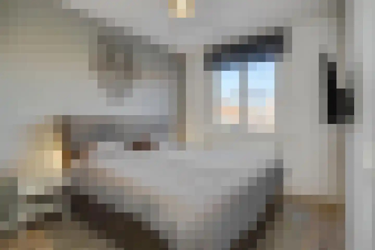 Besselhoeve 4 B Helmond thumbnail 22