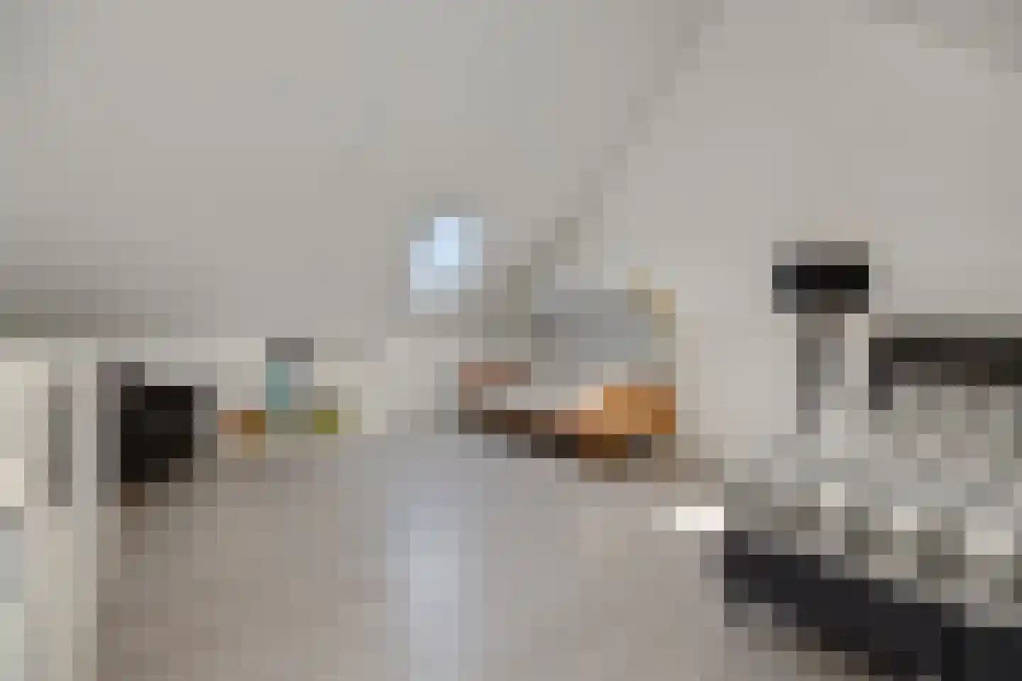 Besselhoeve 4 B Helmond thumbnail 26