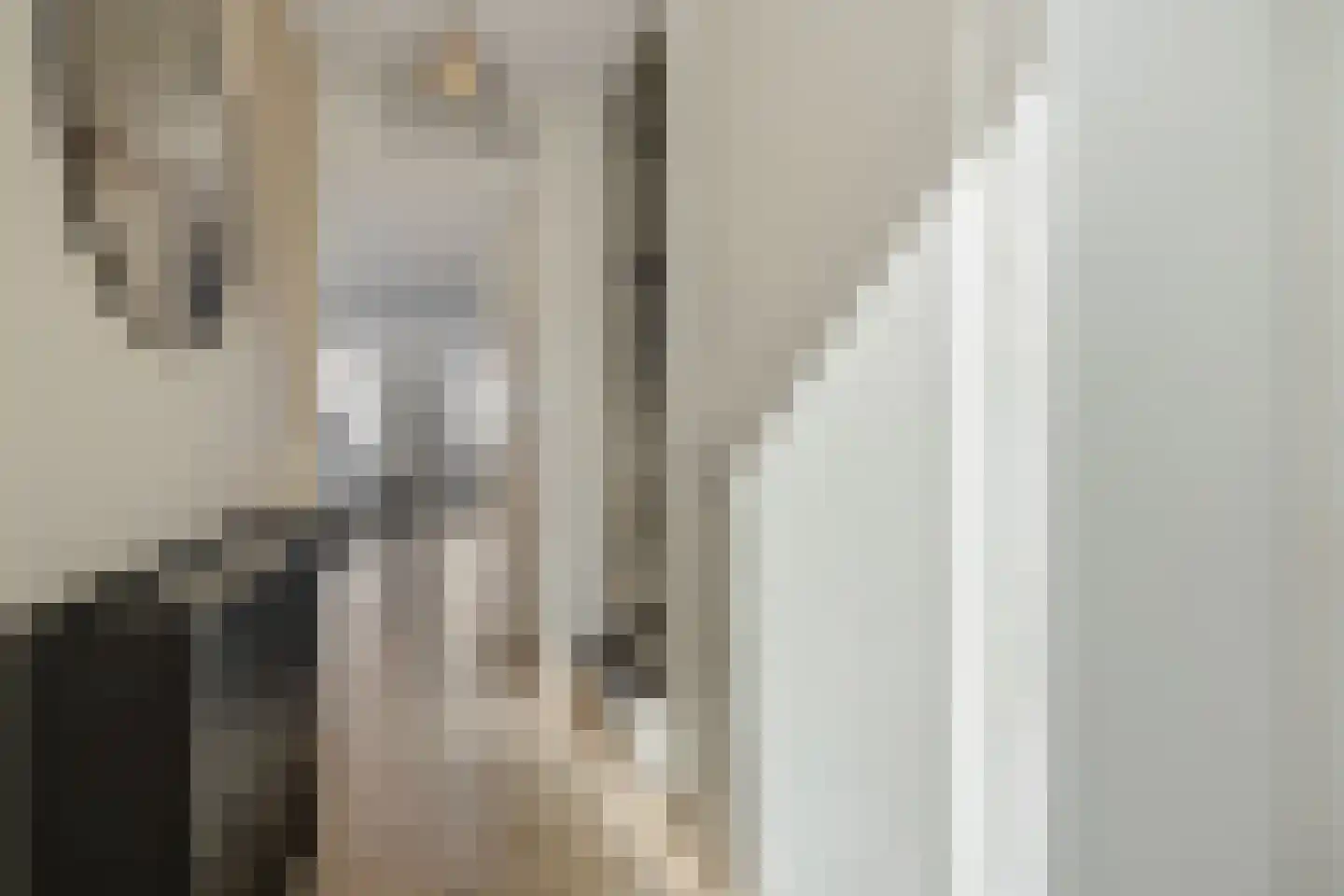 Besselhoeve 4 B Helmond thumbnail 8