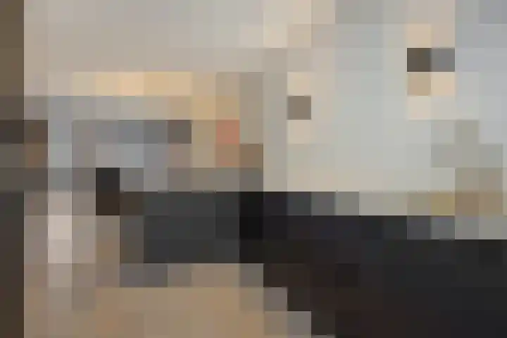 Besselhoeve 4 Helmond thumbnail 15