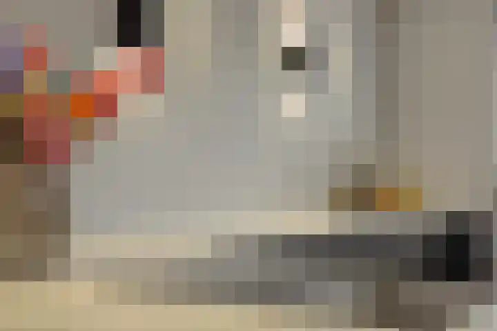 Besselhoeve 4 Helmond thumbnail 17