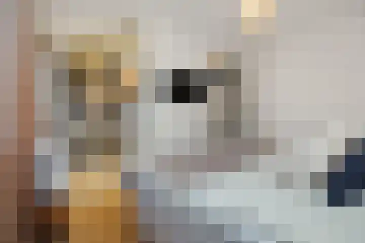 Besselhoeve 4 Helmond thumbnail 20