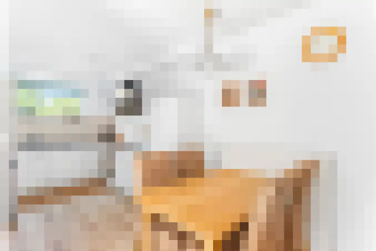 Besselmansgoed 16 Nijkerk thumbnail 16