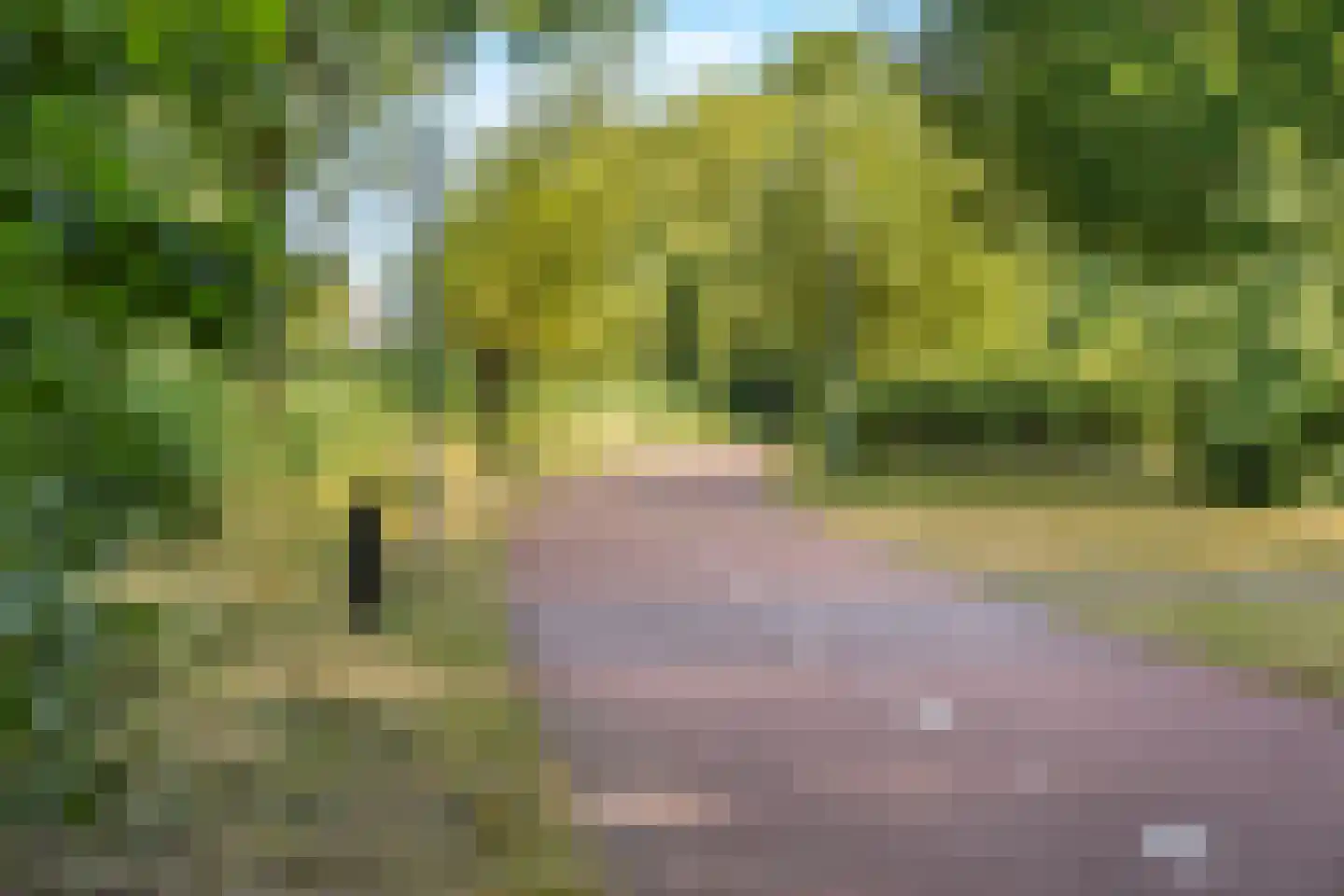 Besselmansgoed 16 Nijkerk thumbnail 41