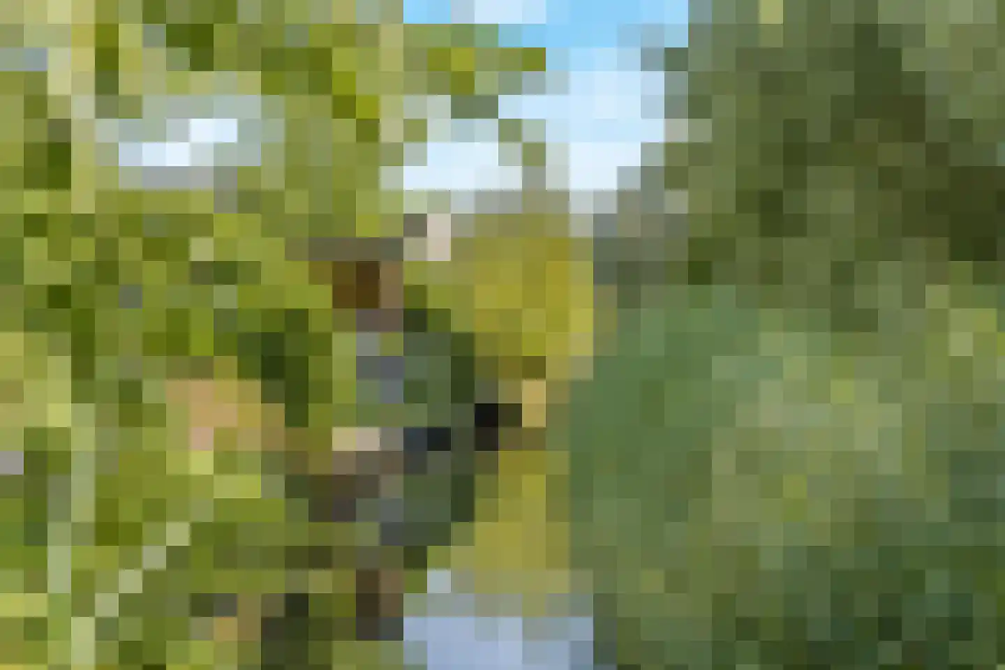 Besselmansgoed 16 Nijkerk thumbnail 43