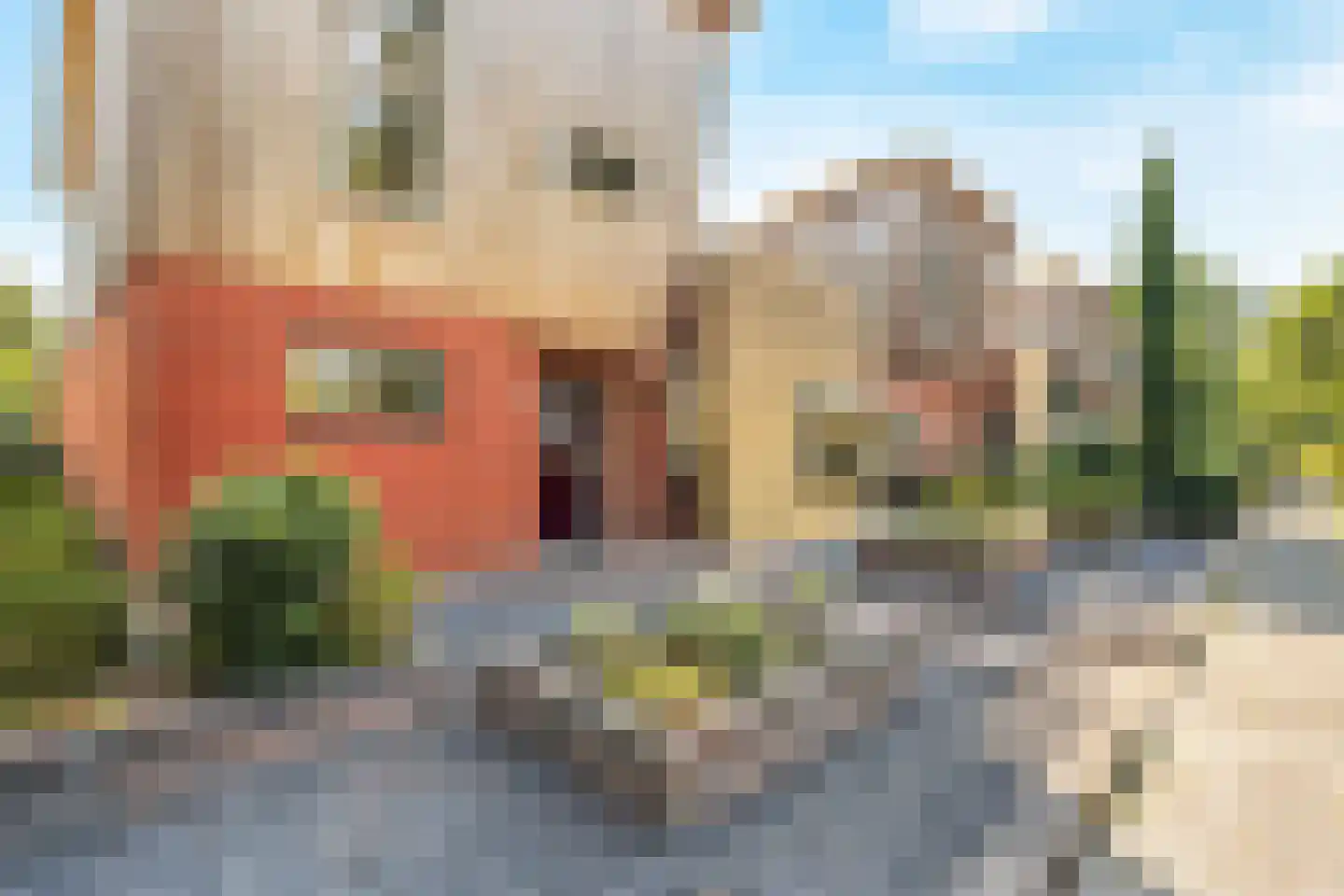 Besselmansgoed 16 Nijkerk thumbnail 7