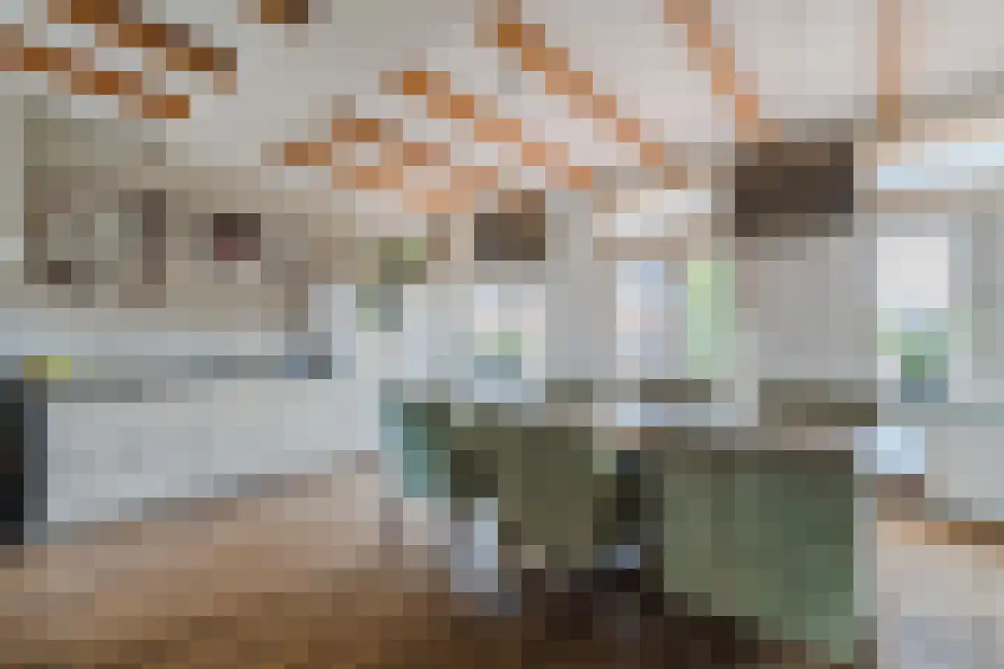 Besselsesteeg 1 Maarssen thumbnail 10