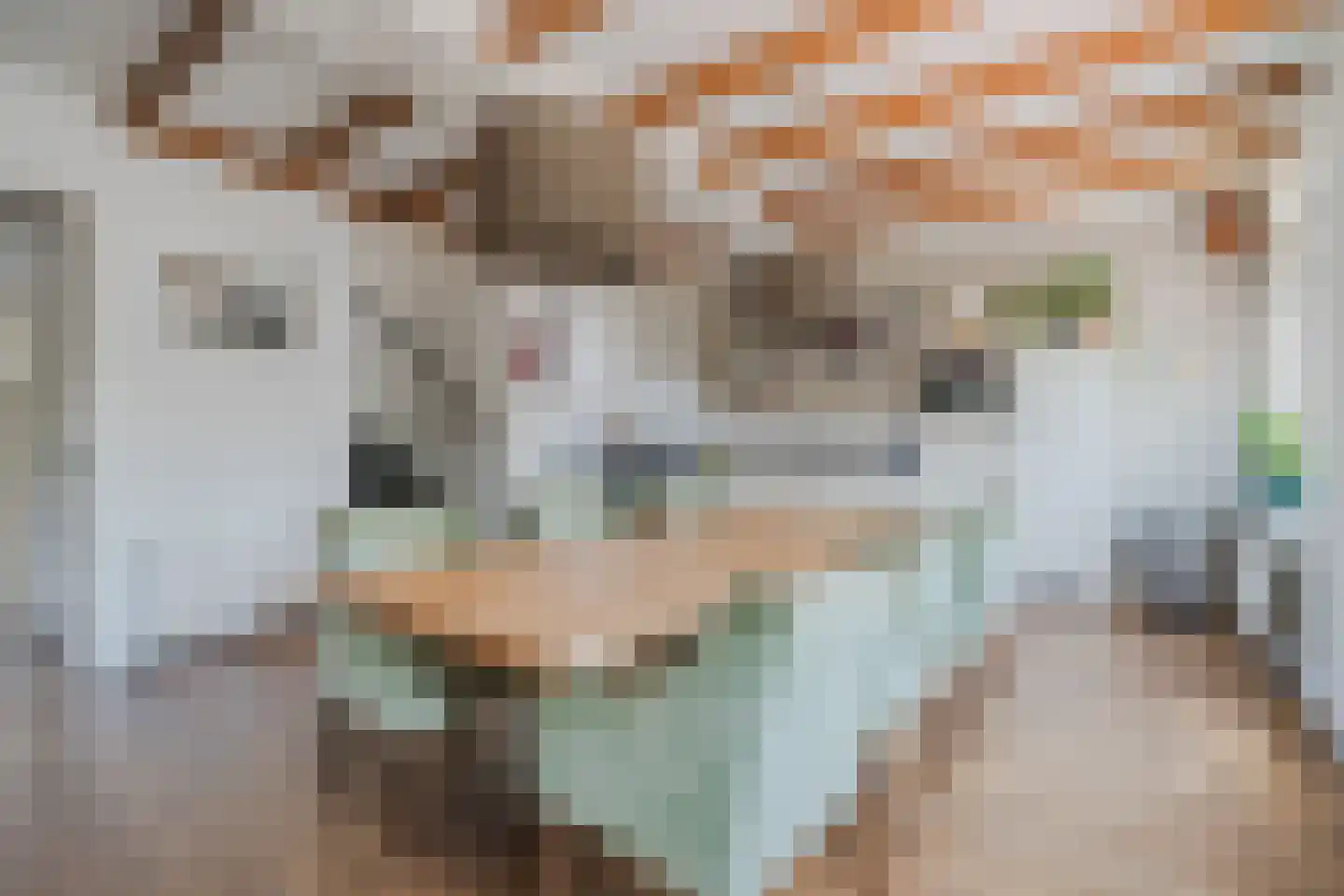 Besselsesteeg 1 Maarssen thumbnail 13