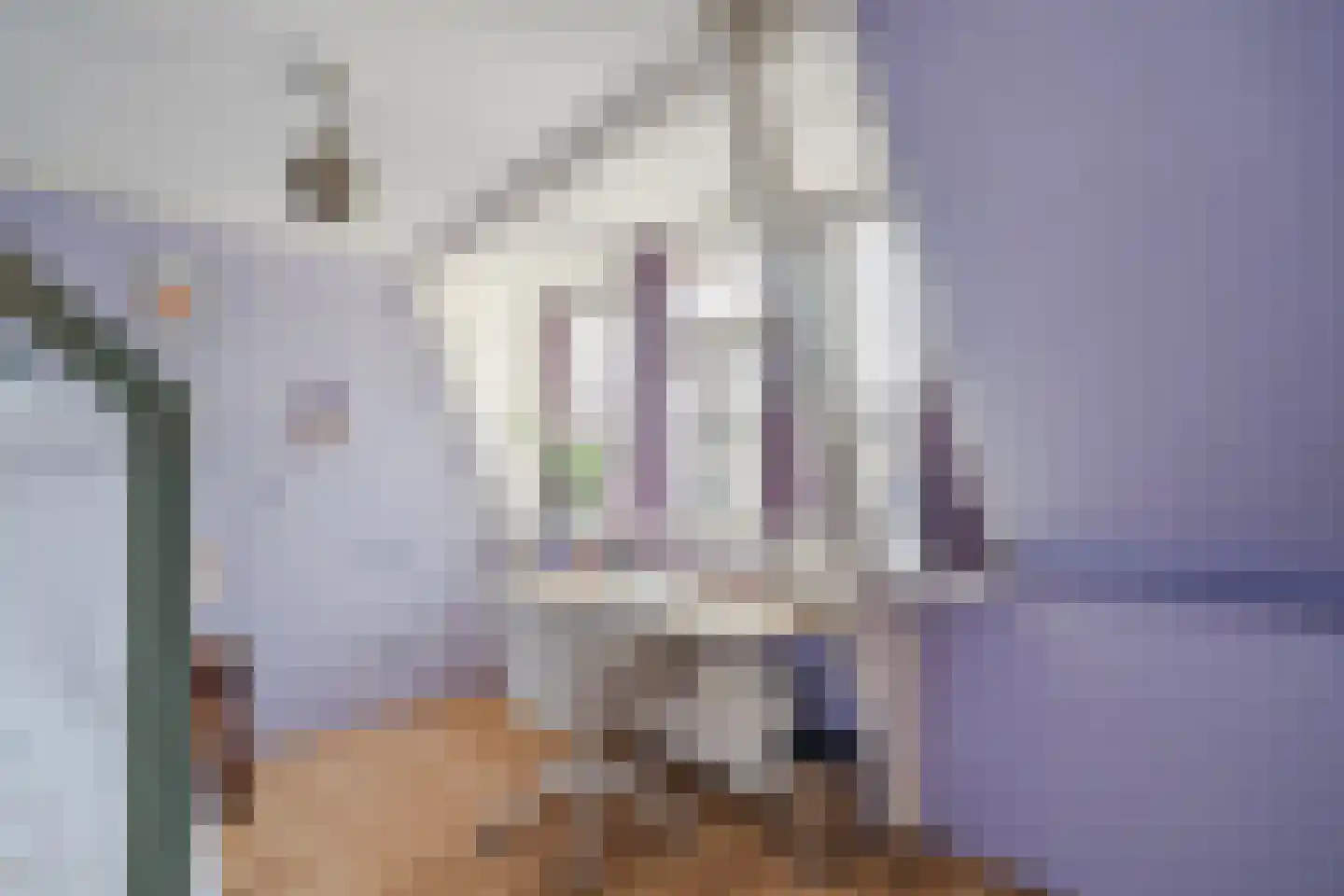 Besselsesteeg 1 Maarssen thumbnail 30