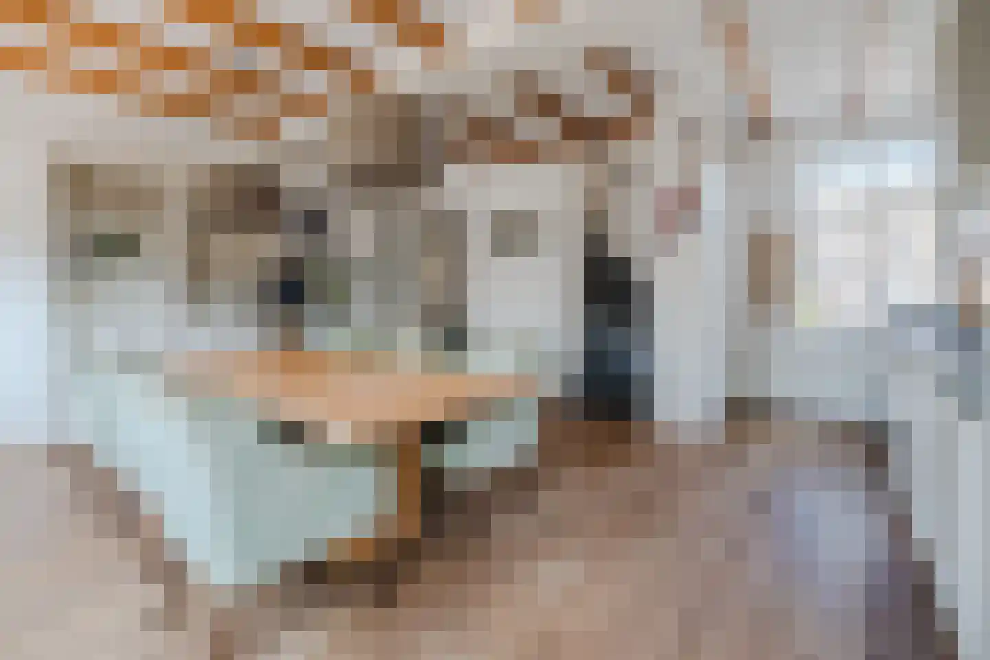 Besselsesteeg 1 Maarssen thumbnail 4
