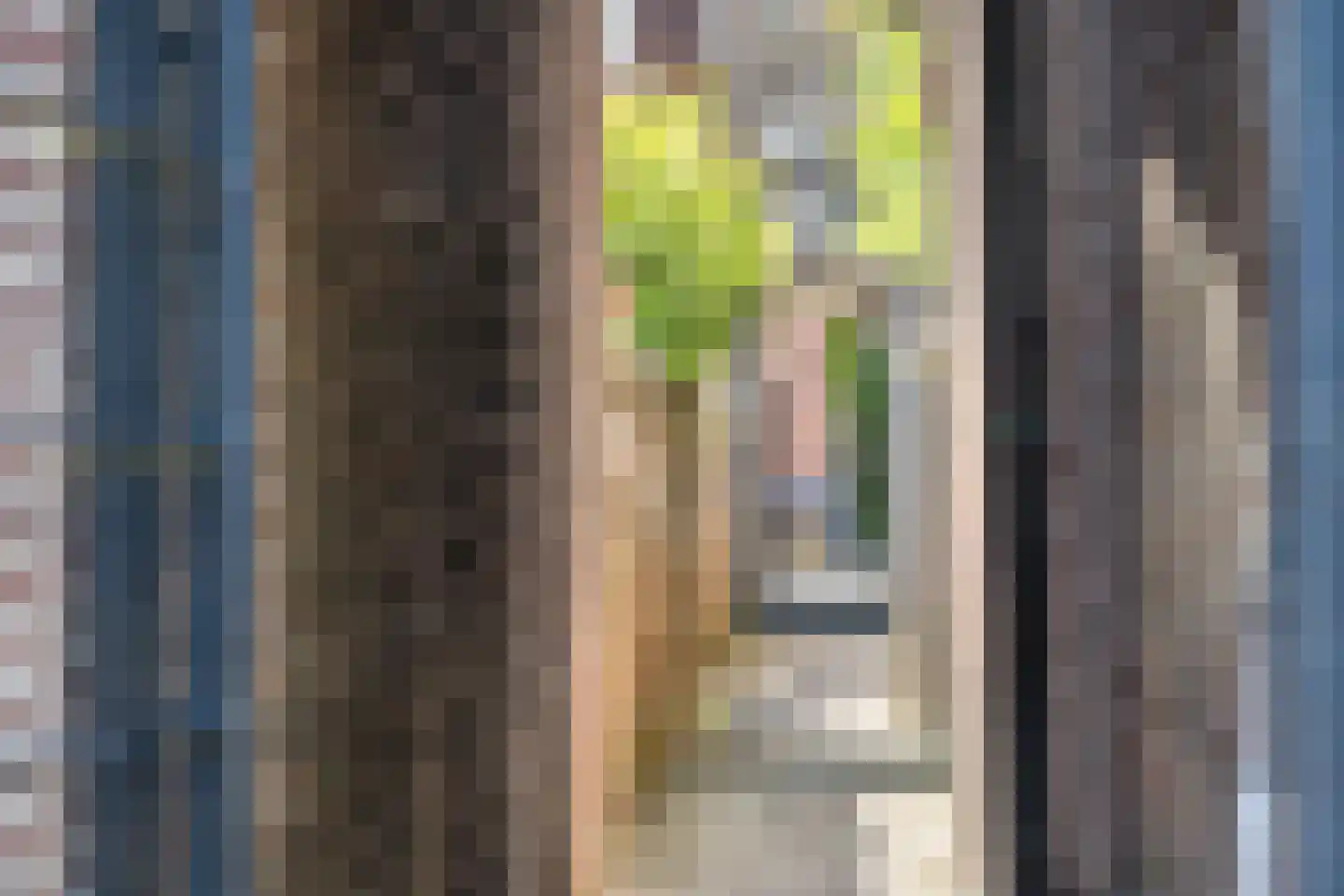 Besselsesteeg 1 Maarssen thumbnail 47