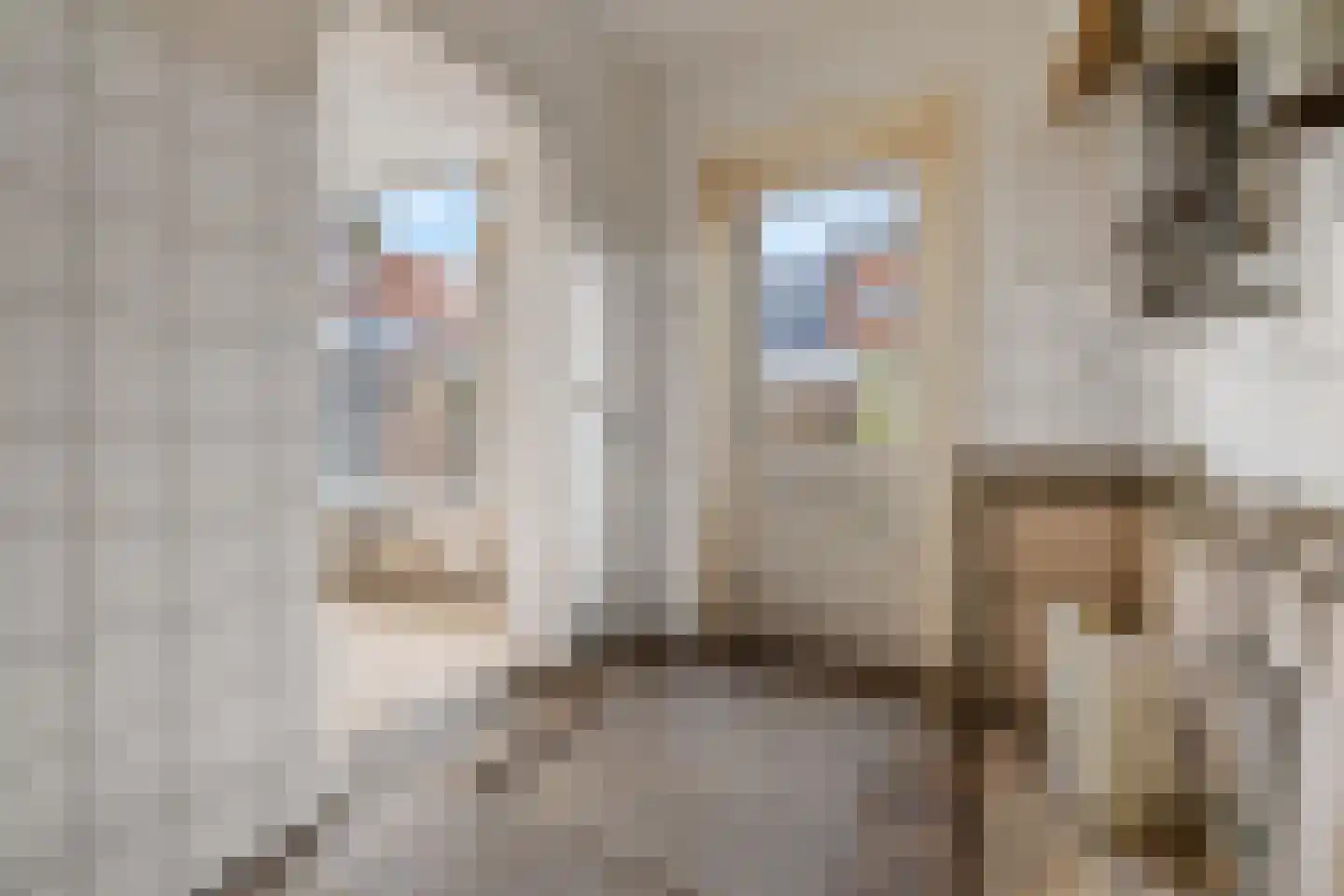 Besselstraat 3 Hilversum thumbnail 8