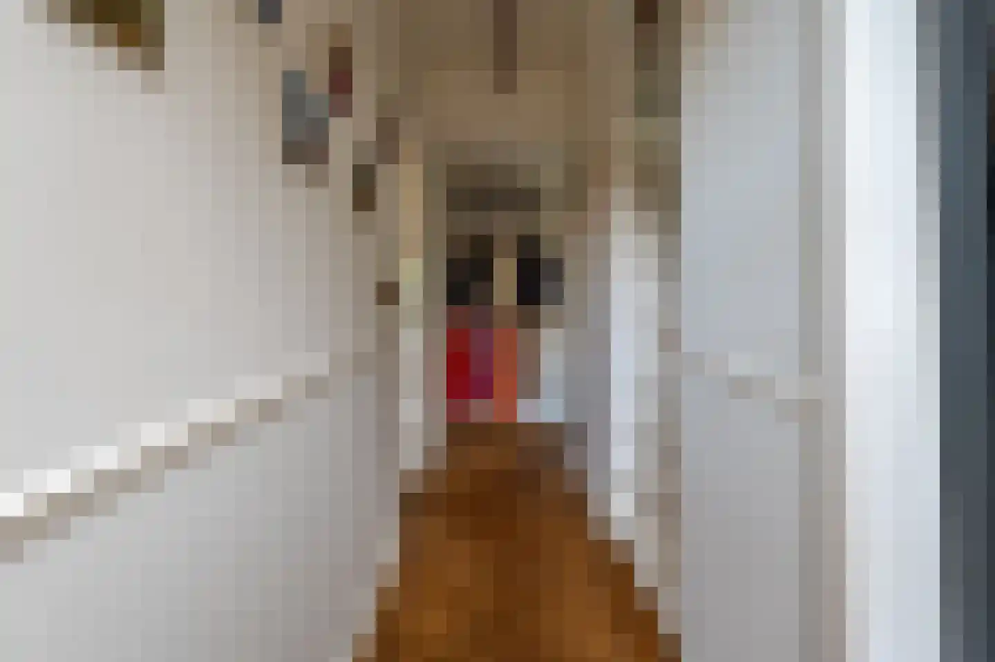 Besselstraat 41 Hilversum thumbnail 18