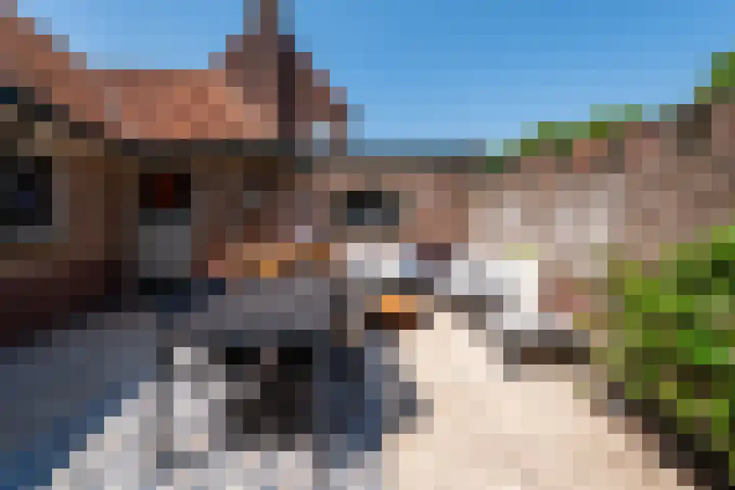 Besselstraat 41 Hilversum thumbnail 33