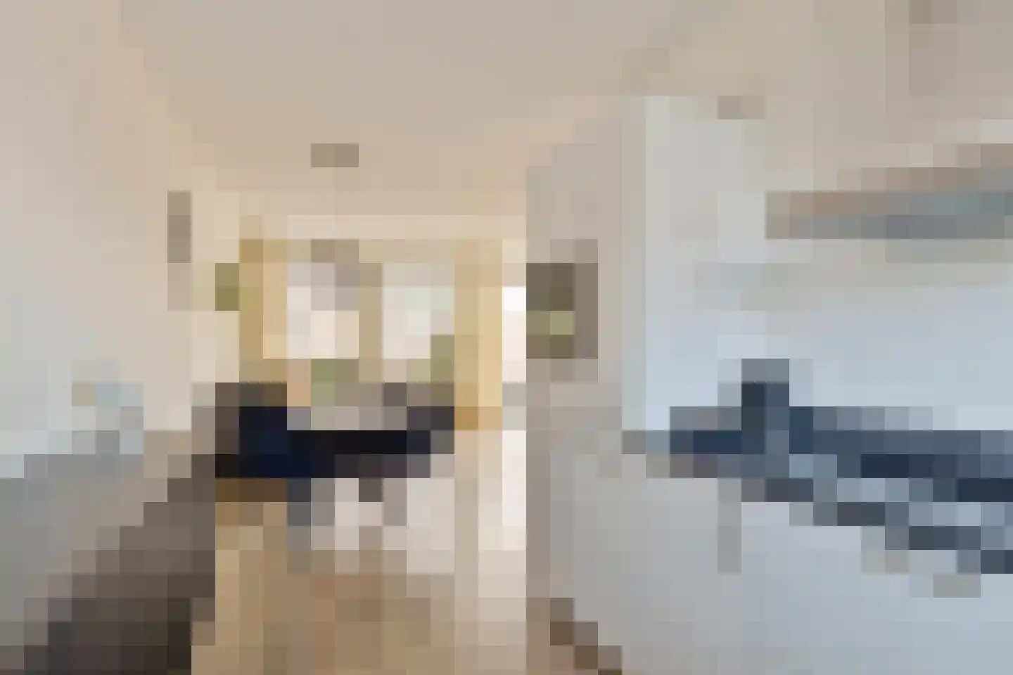 Bessembiender 15 Siebengewald thumbnail 25