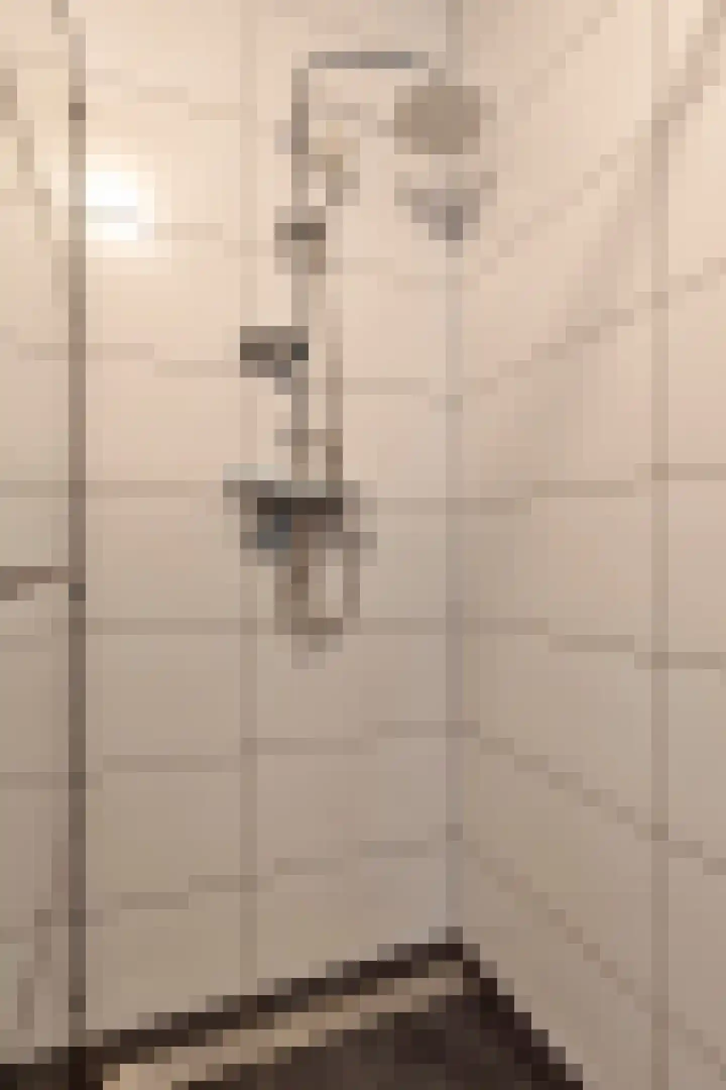 Bessembiender 15 Siebengewald thumbnail 32