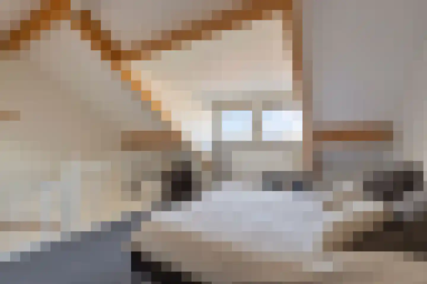 Bessembiender 15 Siebengewald thumbnail 38