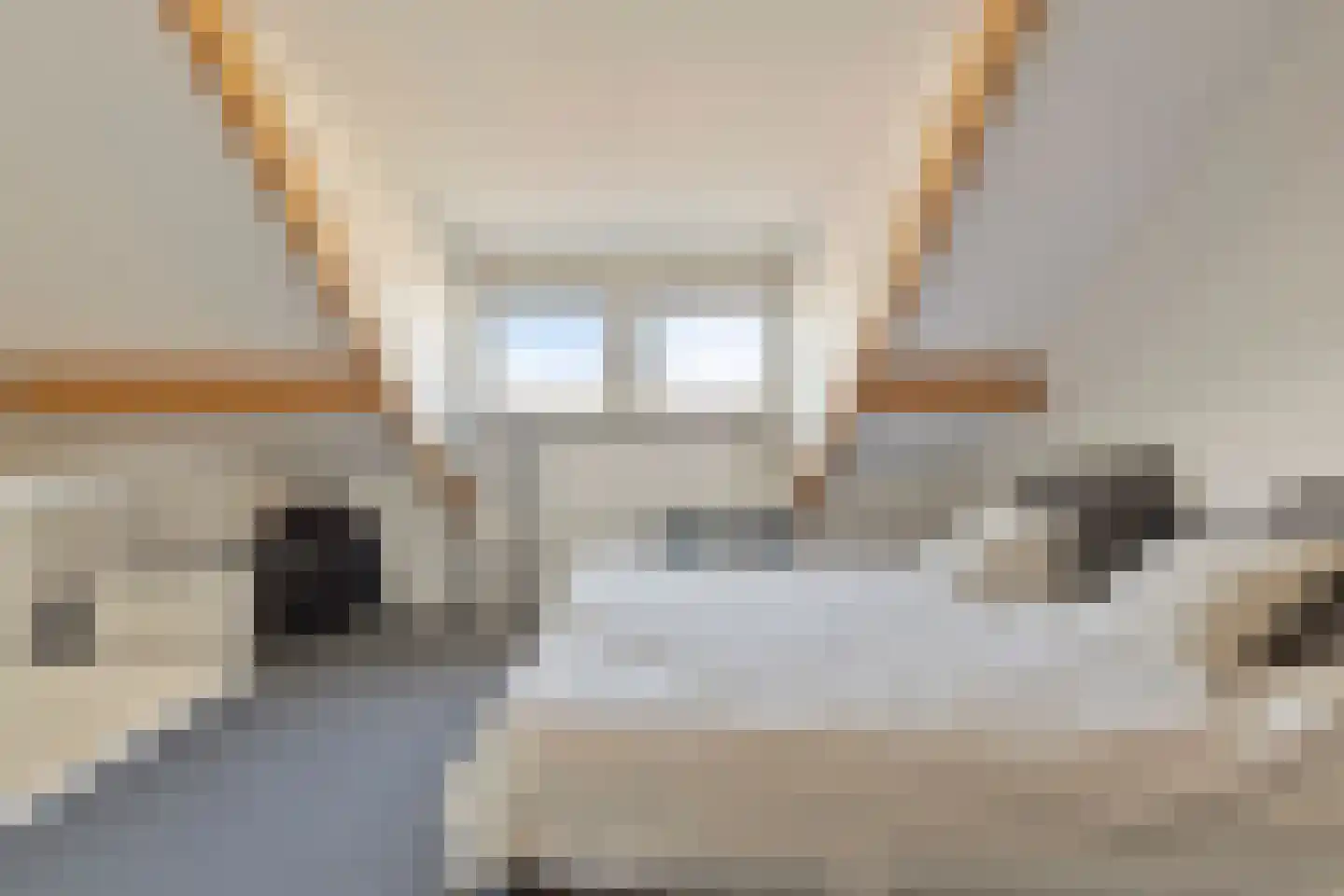 Bessembiender 15 Siebengewald thumbnail 39