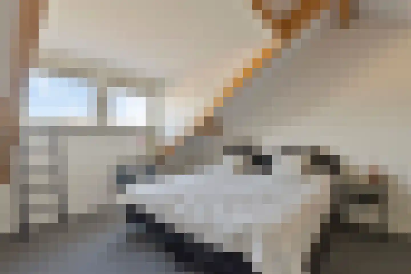 Bessembiender 15 Siebengewald thumbnail 40