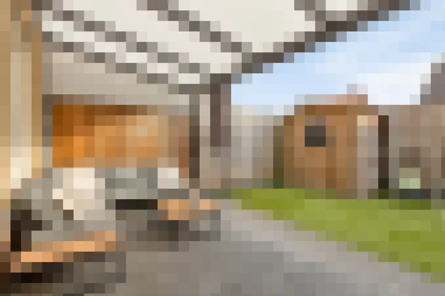 Bessembiender 15 Siebengewald thumbnail 45