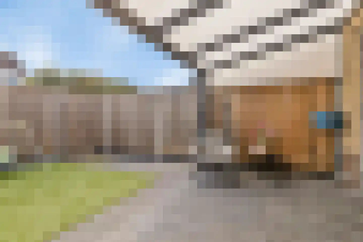 Bessembiender 15 Siebengewald thumbnail 47