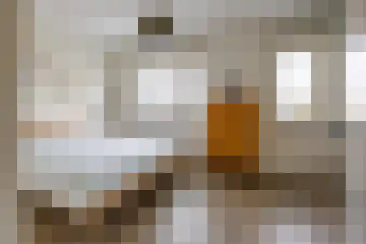 Bessembiender 6 Siebengewald thumbnail 17