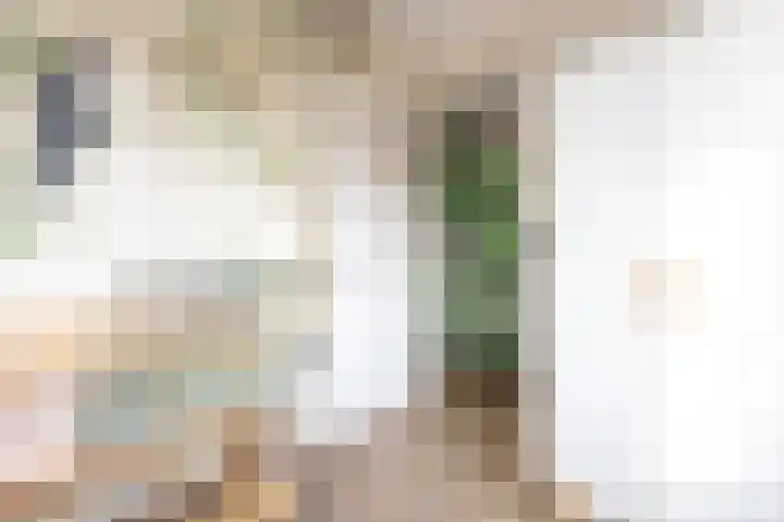 Bessembiender 6 Siebengewald thumbnail 21