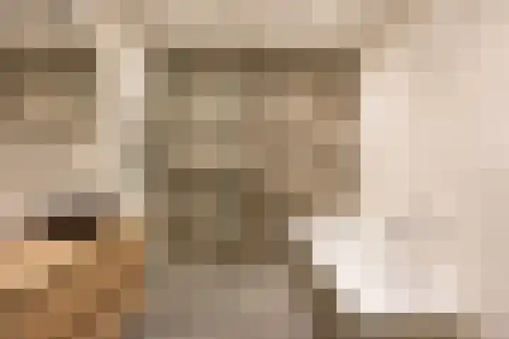 Bessembiender 6 Siebengewald thumbnail 22