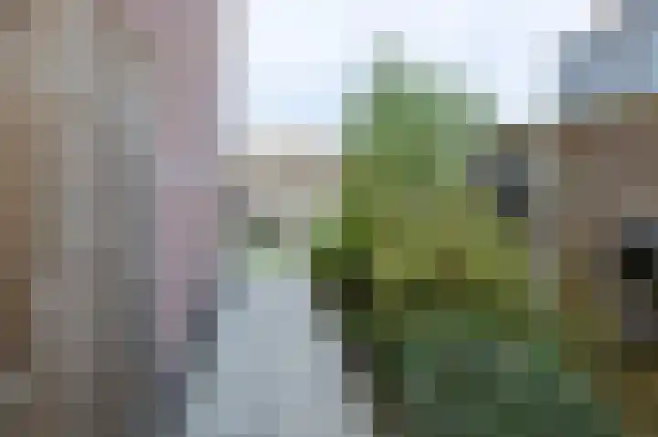 Bessembiender 6 Siebengewald thumbnail 29