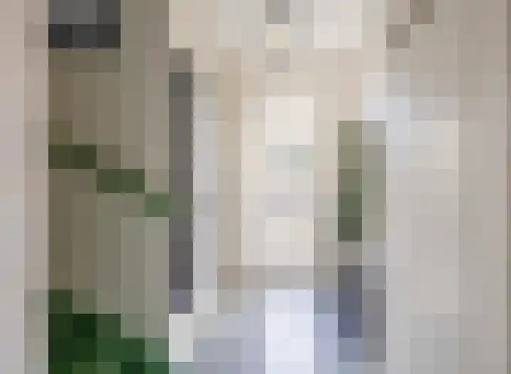 Bessembiender 6 Siebengewald thumbnail 8