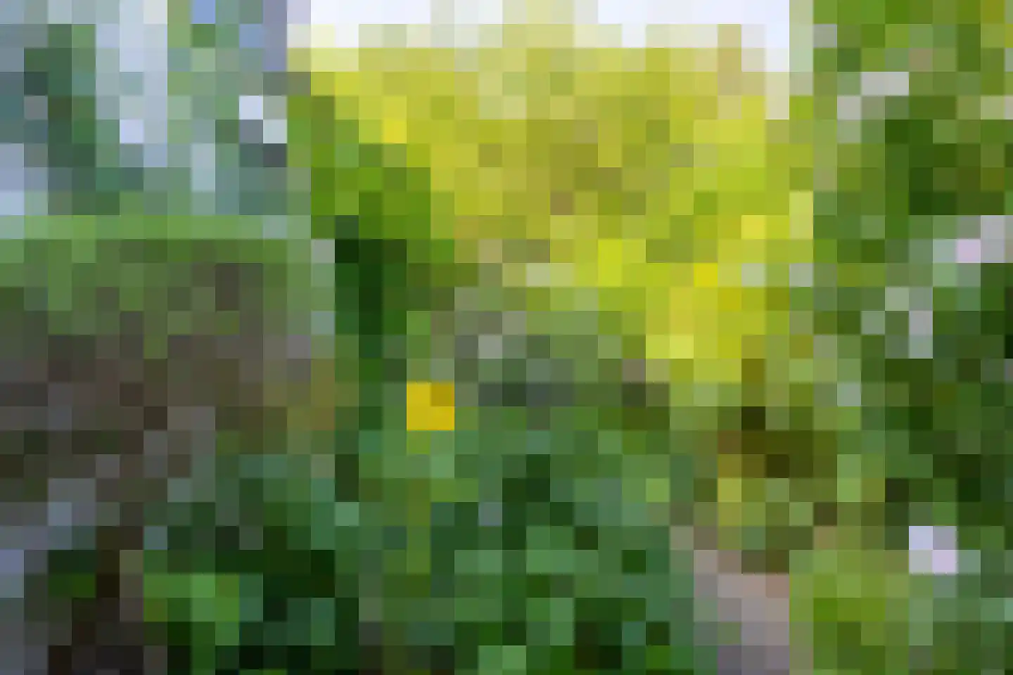 Bessemerlaan 101 Utrecht thumbnail 30