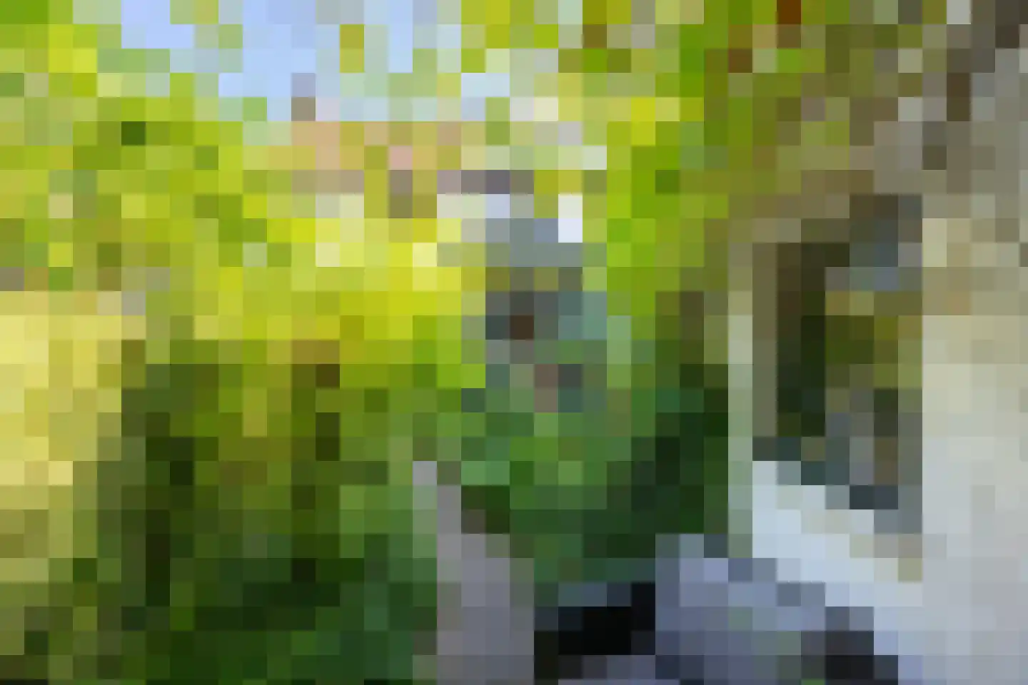 Bessemerlaan 101 Utrecht thumbnail 34