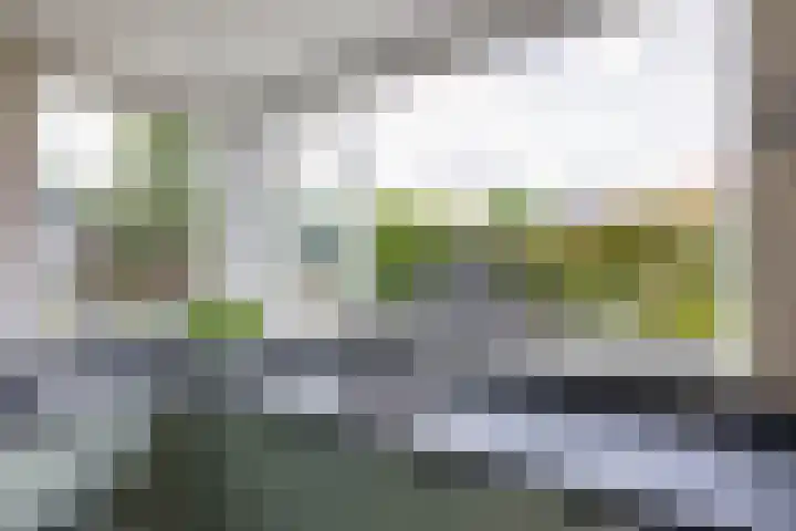 Bessemerlaan 24 Utrecht thumbnail 18