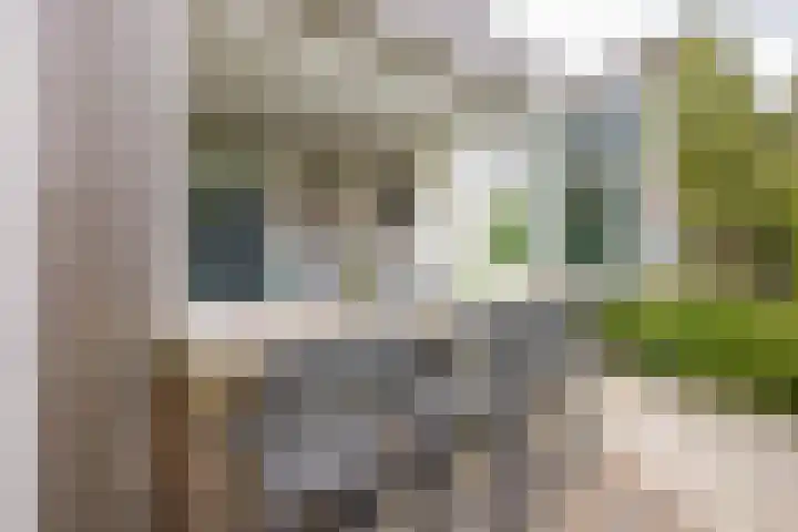 Bessemerlaan 24 Utrecht thumbnail 19