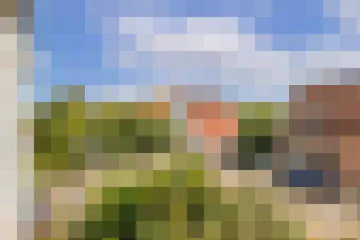 Bessemerlaan 24 Utrecht thumbnail 29