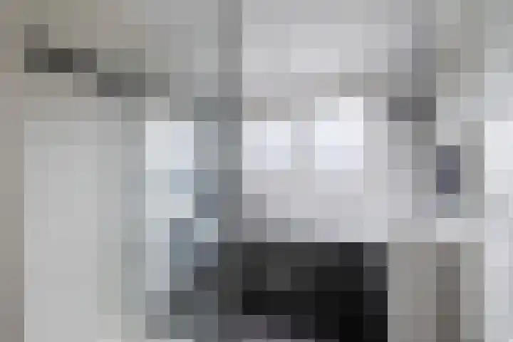 Bessemerlaan 24 Utrecht thumbnail 31