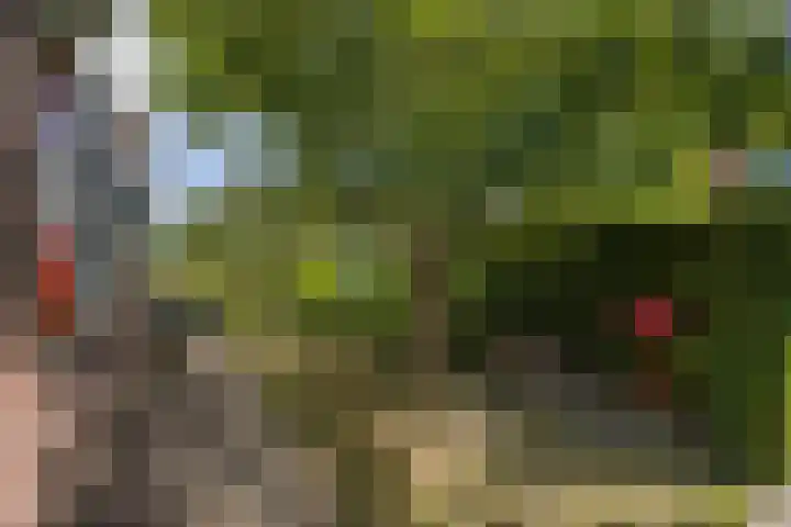 Bessemerlaan 24 Utrecht thumbnail 4