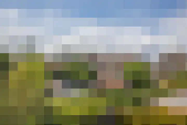 Bessemerlaan 24 Utrecht thumbnail 41