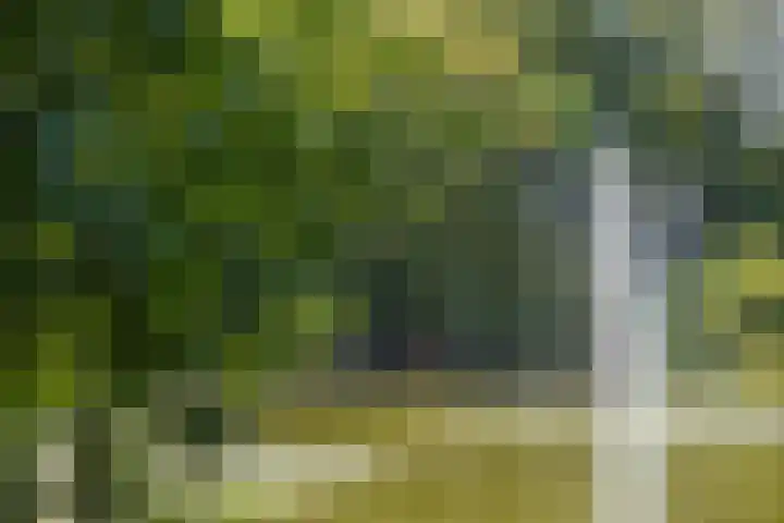 Bessemerlaan 24 Utrecht thumbnail 48