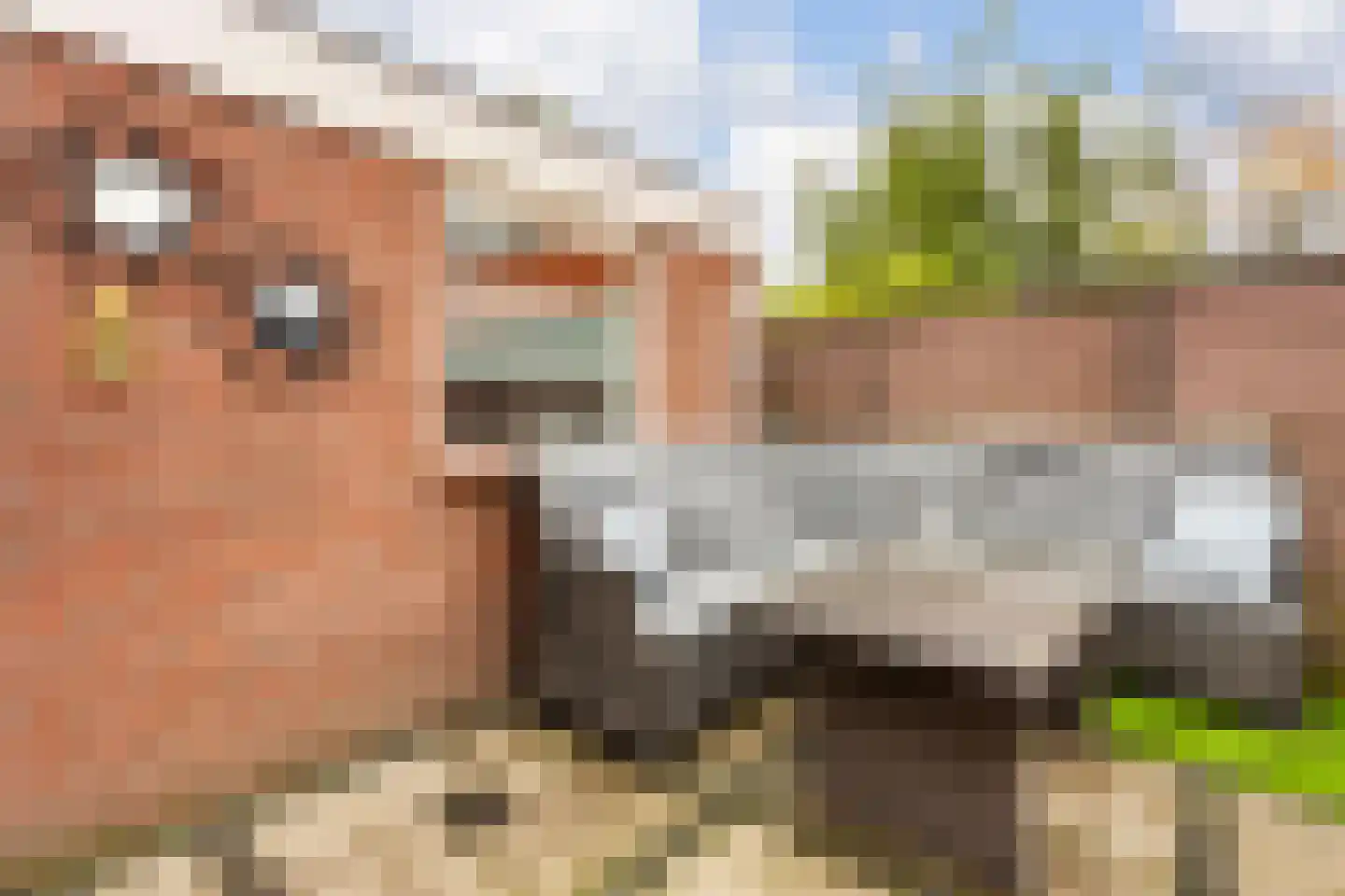 Bessemerlaan 25 Utrecht thumbnail 21