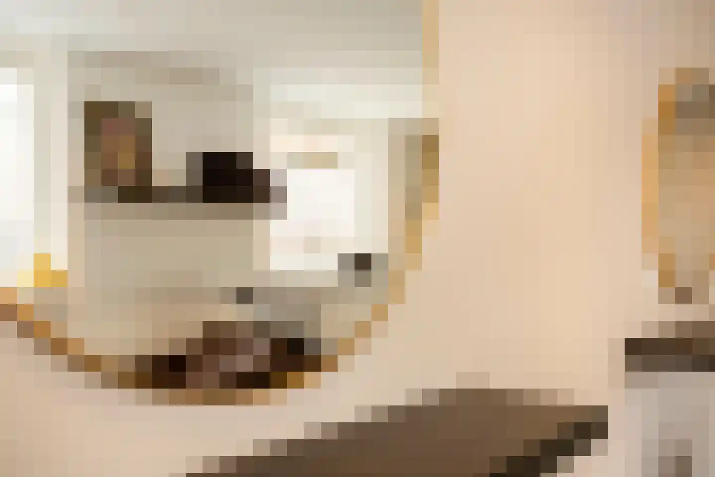 Bessemerlaan 25 Utrecht thumbnail 24