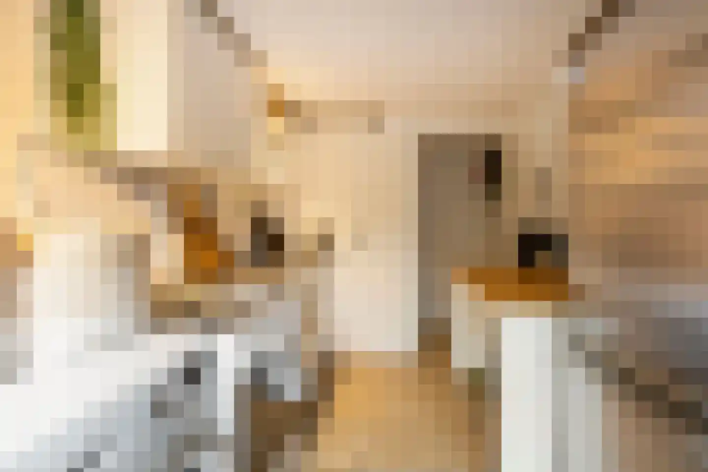 Bessemerlaan 25 Utrecht thumbnail 29